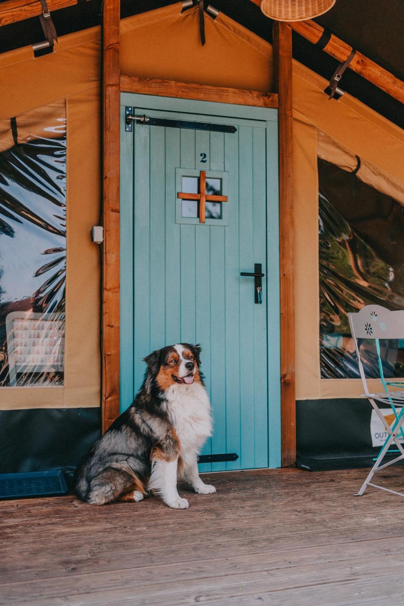 Rendes Glamping Otel Balatonrendes Dış mekan fotoğraf