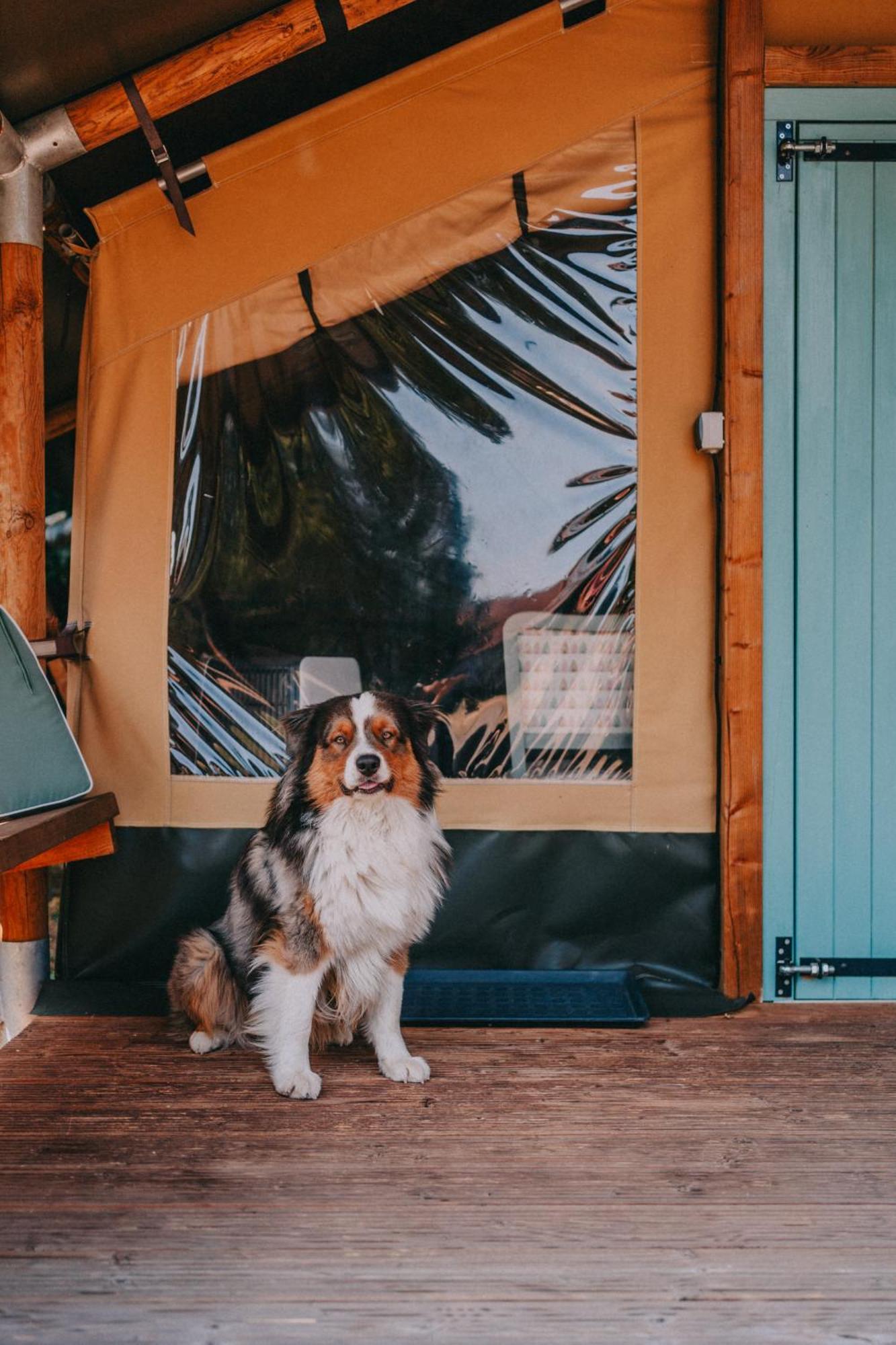 Rendes Glamping Otel Balatonrendes Dış mekan fotoğraf